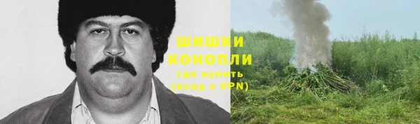 дживик Богородск