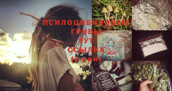 дмт Бронницы
